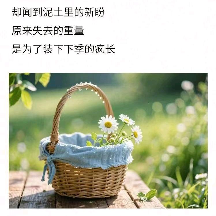 孤独的风中一条虫儿飞