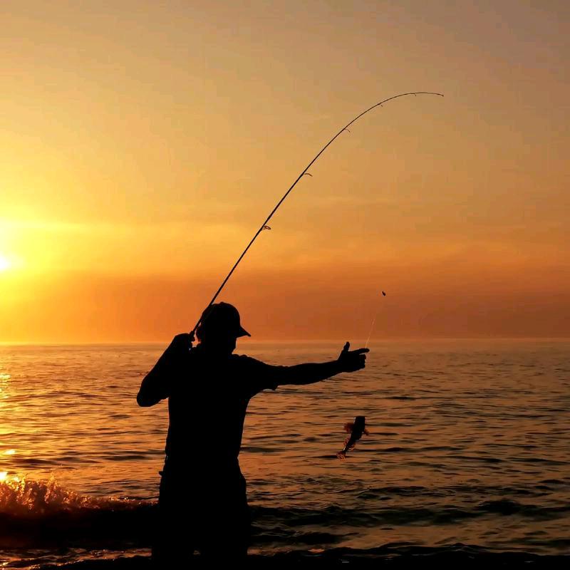 默笙🎣（纯野钓）