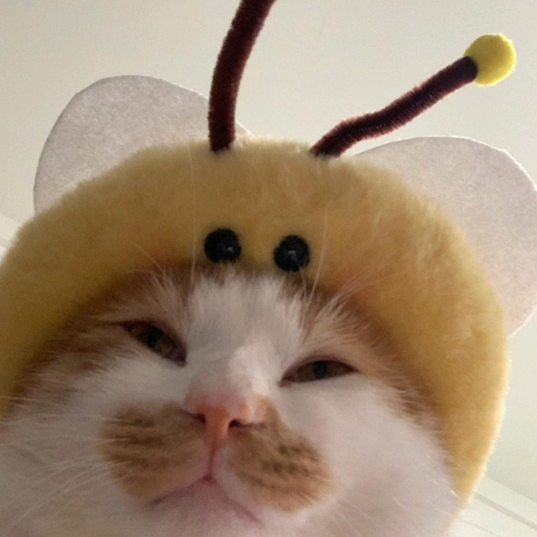 绮梦