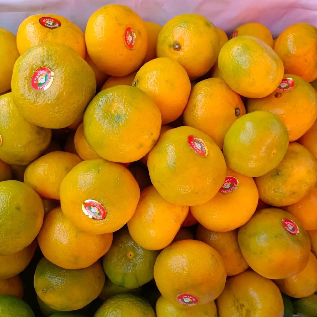 抱团起暖 你干嘛我干嘛