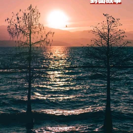 卿本佳人奈何做贼