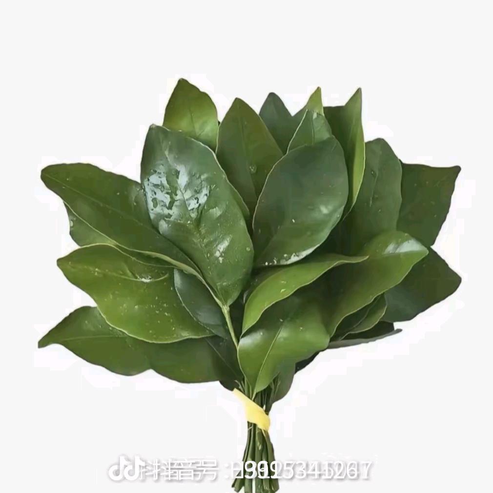 再睡半个钟好吗