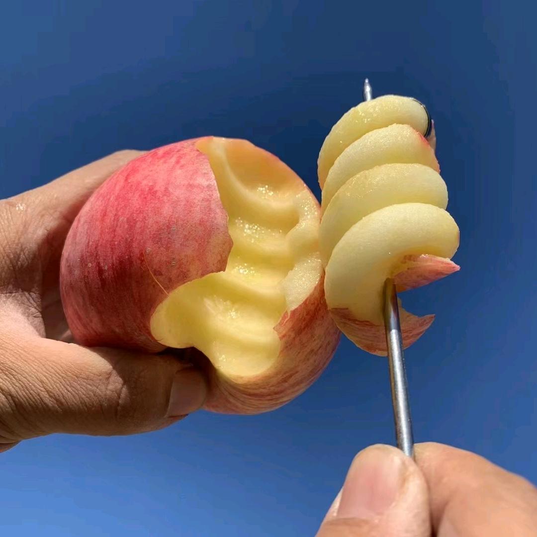 中轴线壹家壹树洛川苹果