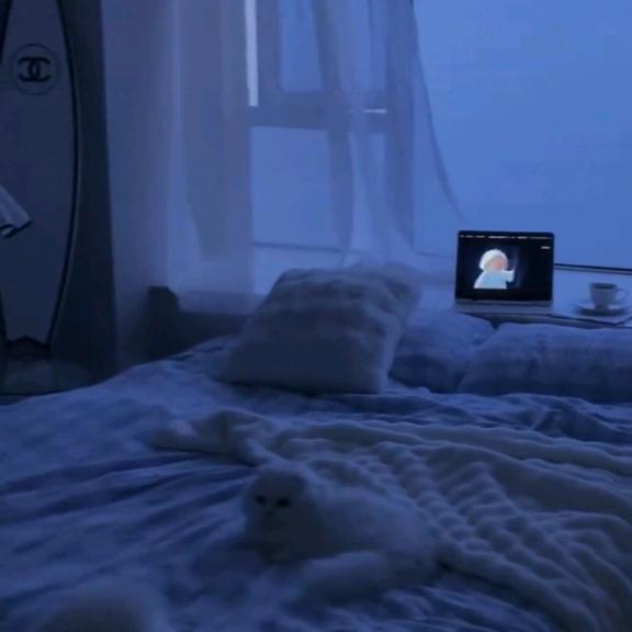 秦秦卿卿