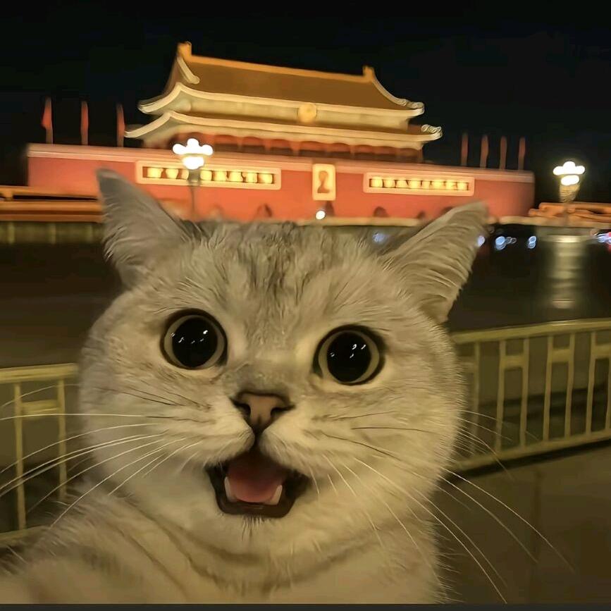 温柔词