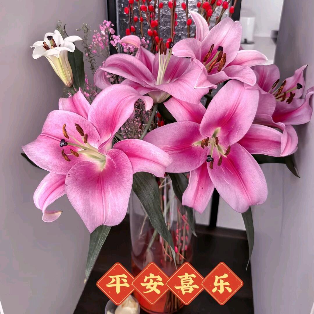 妞妞妈（连赞拉黑））