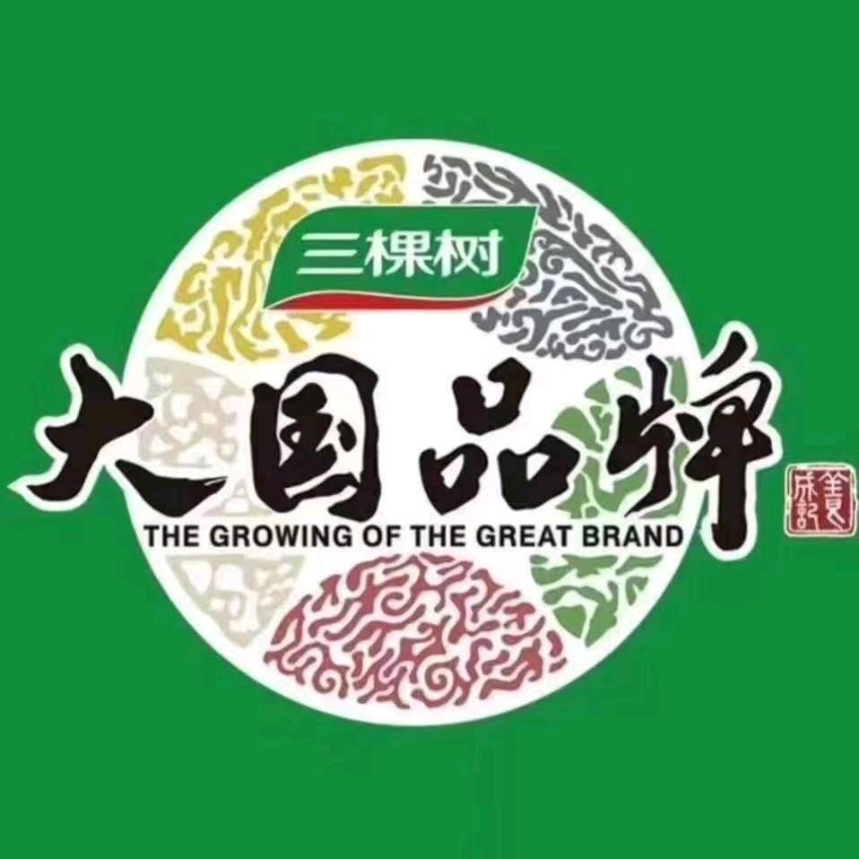 三棵树防石漆内外墙精装