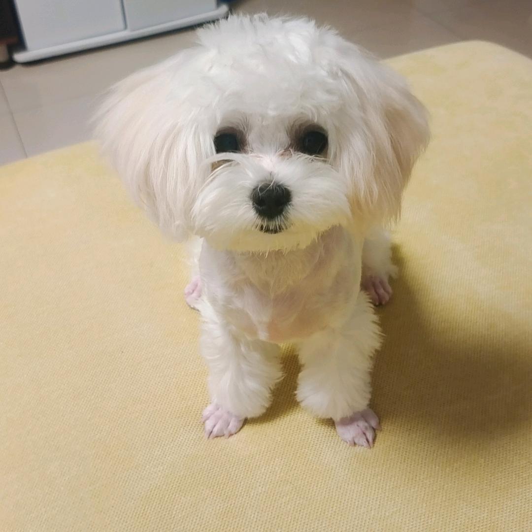 Miss💞穆紫