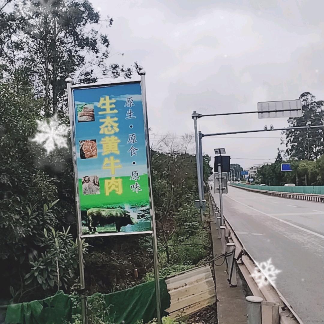 自强生态家庭农庄