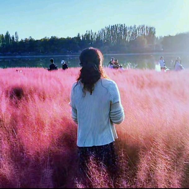 浅笑依然～🐑🌻