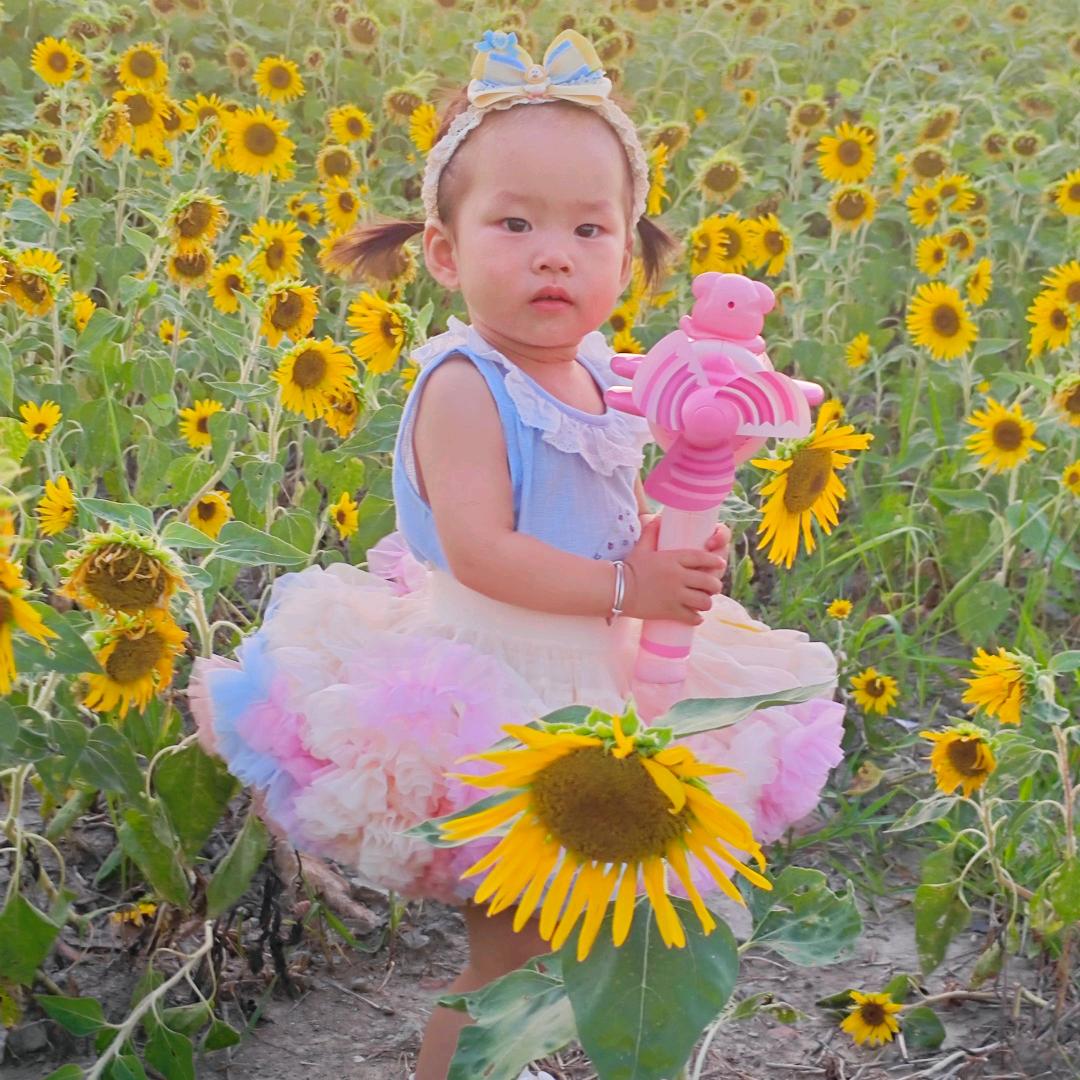 芯芯菜