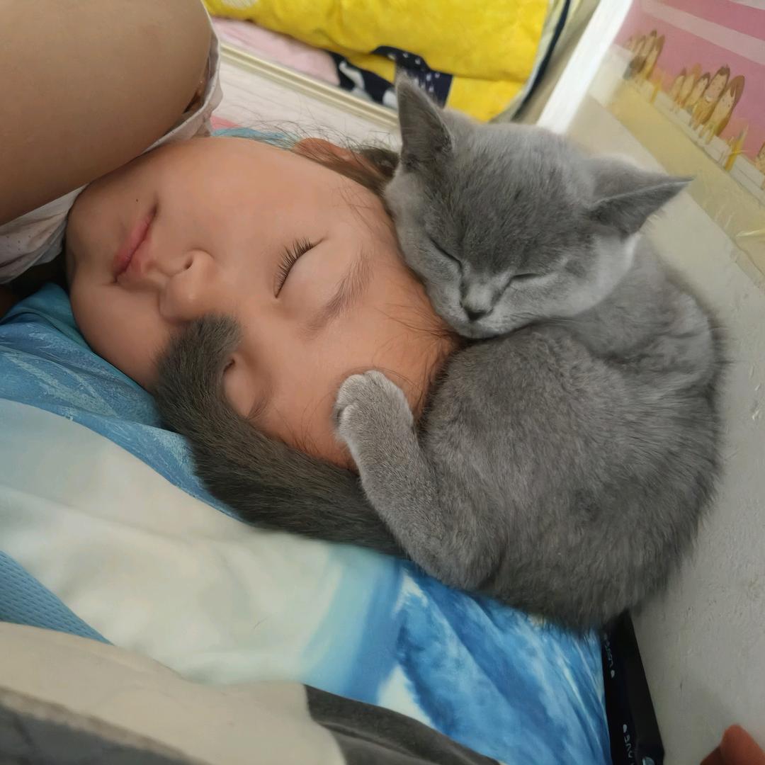 伊伊妞和她的十一