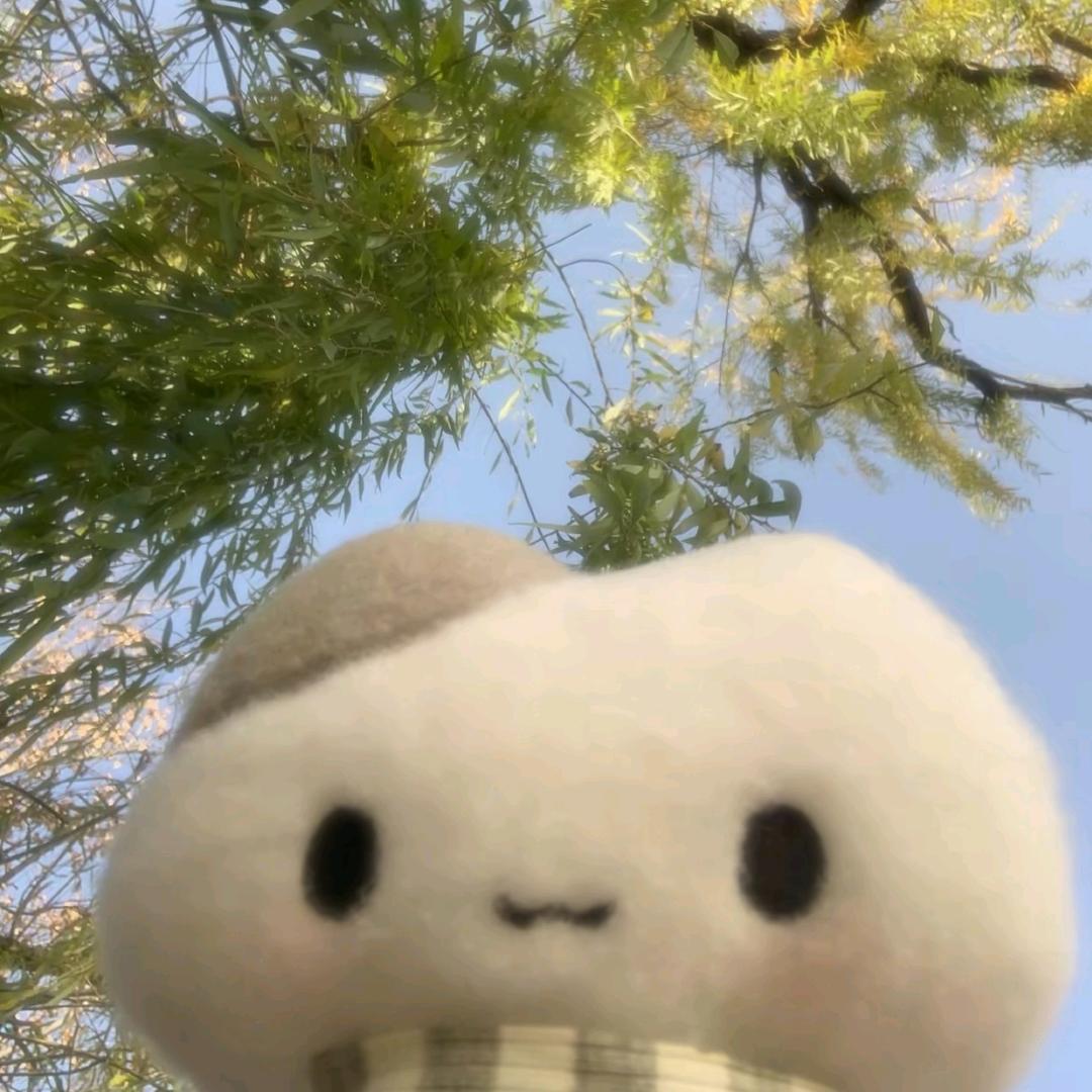 舒肤佳