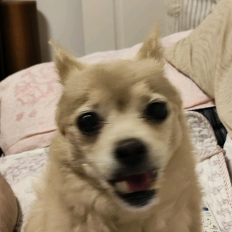 广进计划当事人