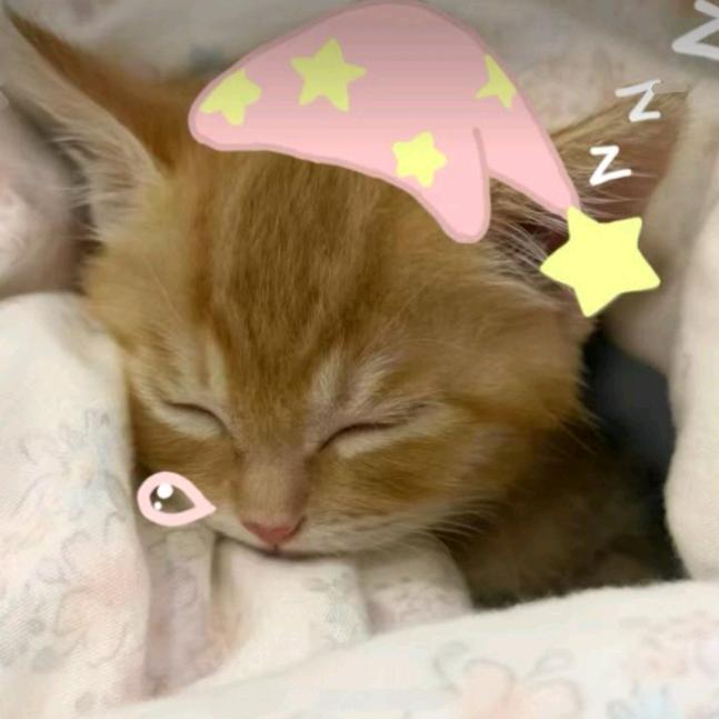 H-TuT.💤