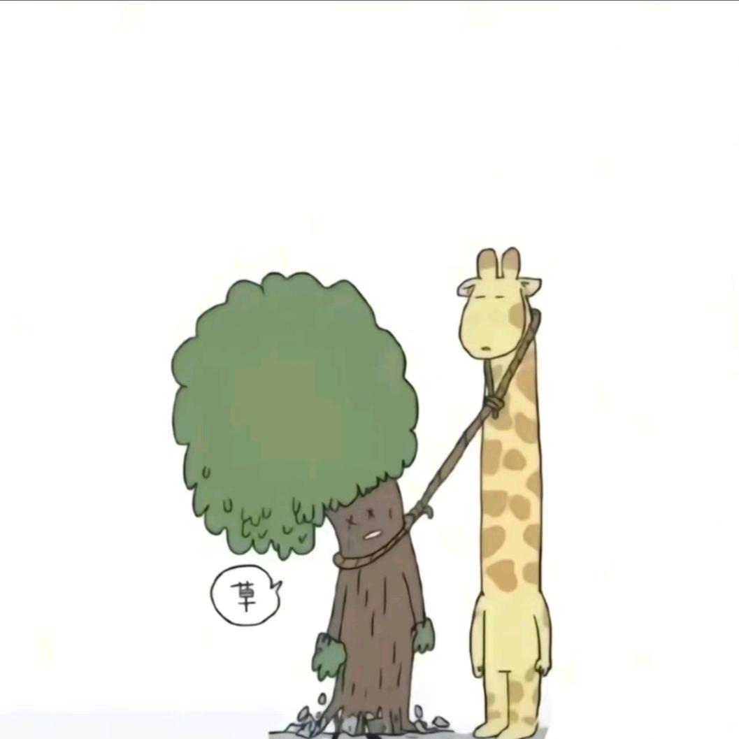 水瓶