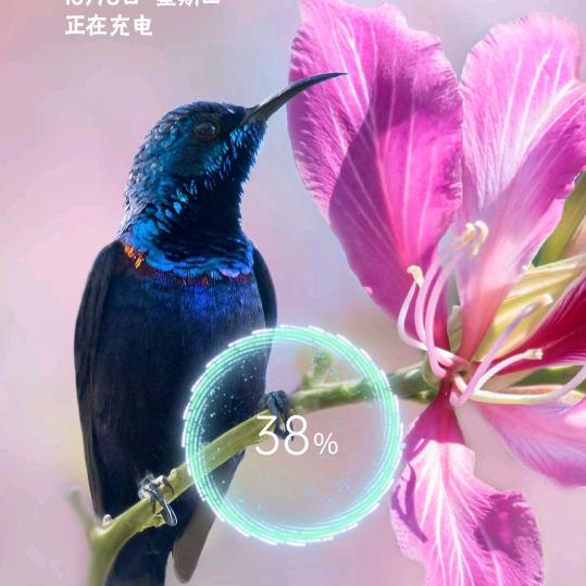 戏歌🎉🎉🎉韵随风🎉🎉🎉