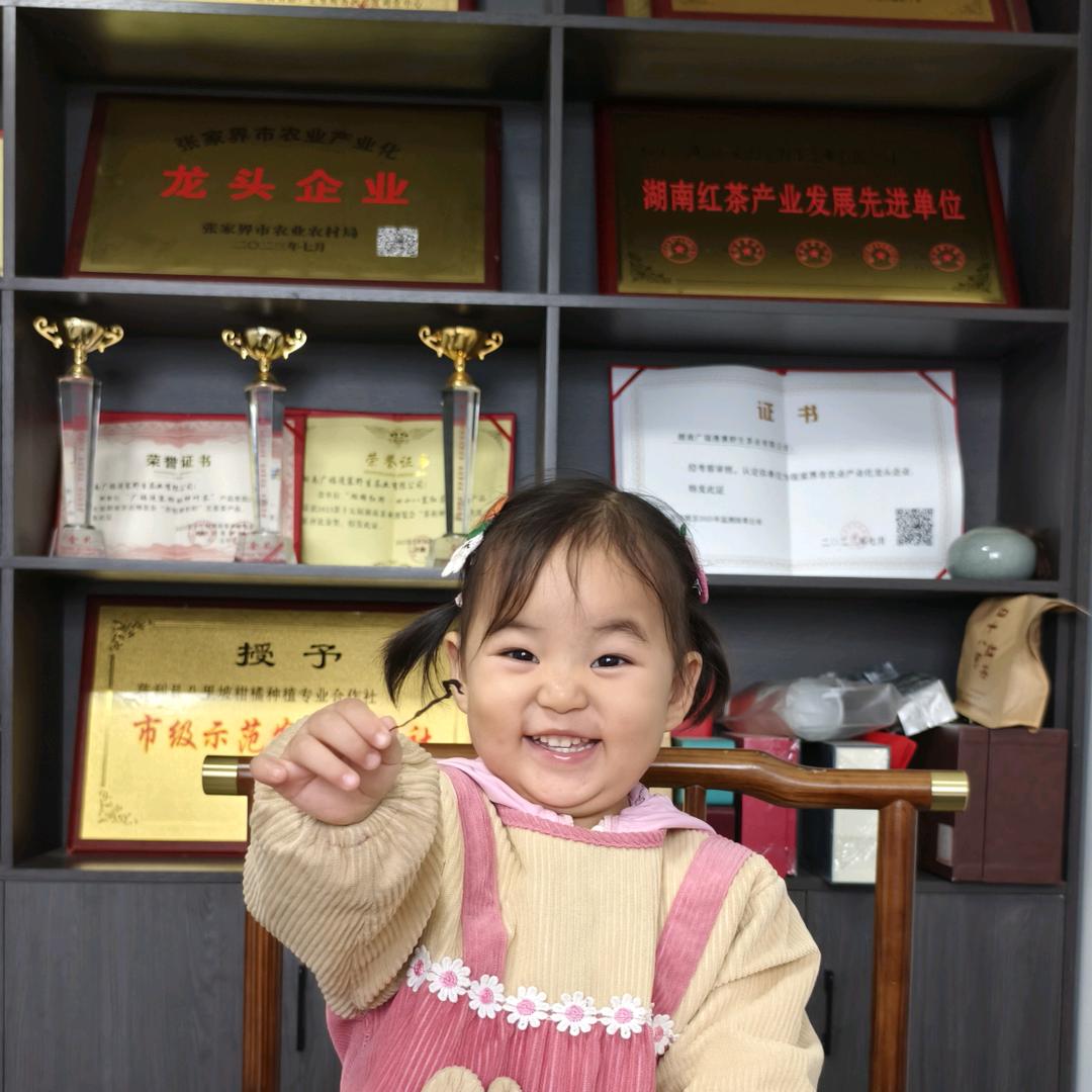 湖南广福漫寨野生茶业