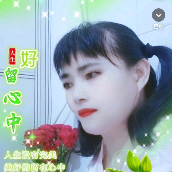 红豆杉