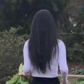 桃桃
