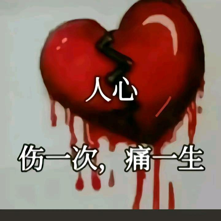 人心伤一次痛一生2号