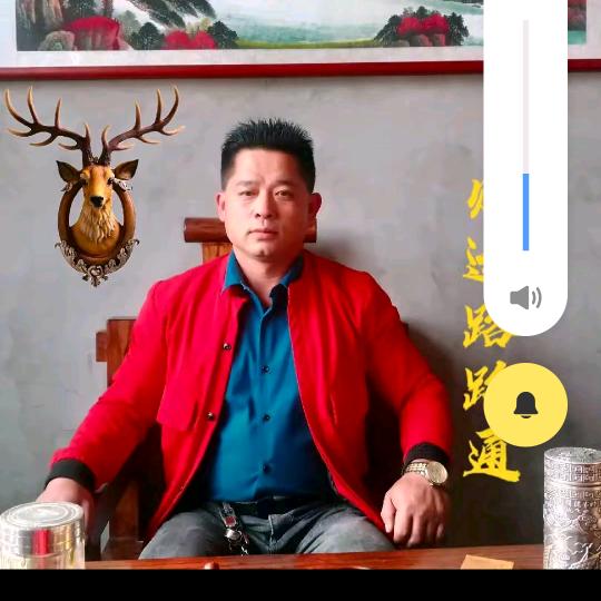 金山国营二手钢材