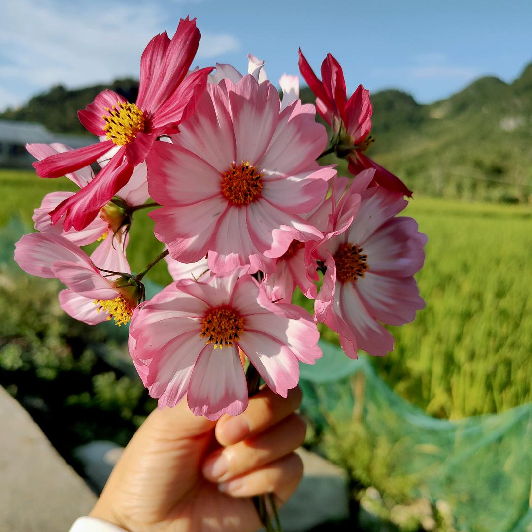 ♡不喜欢拍视频的☀️☀️