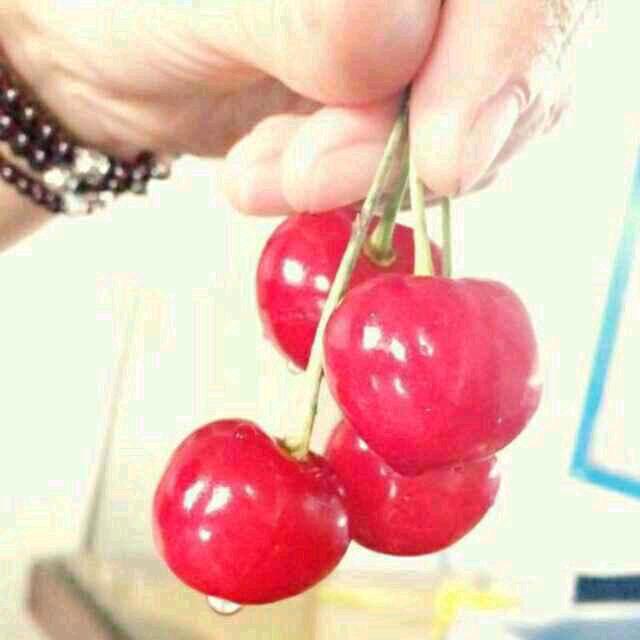 劉家大小姐💕