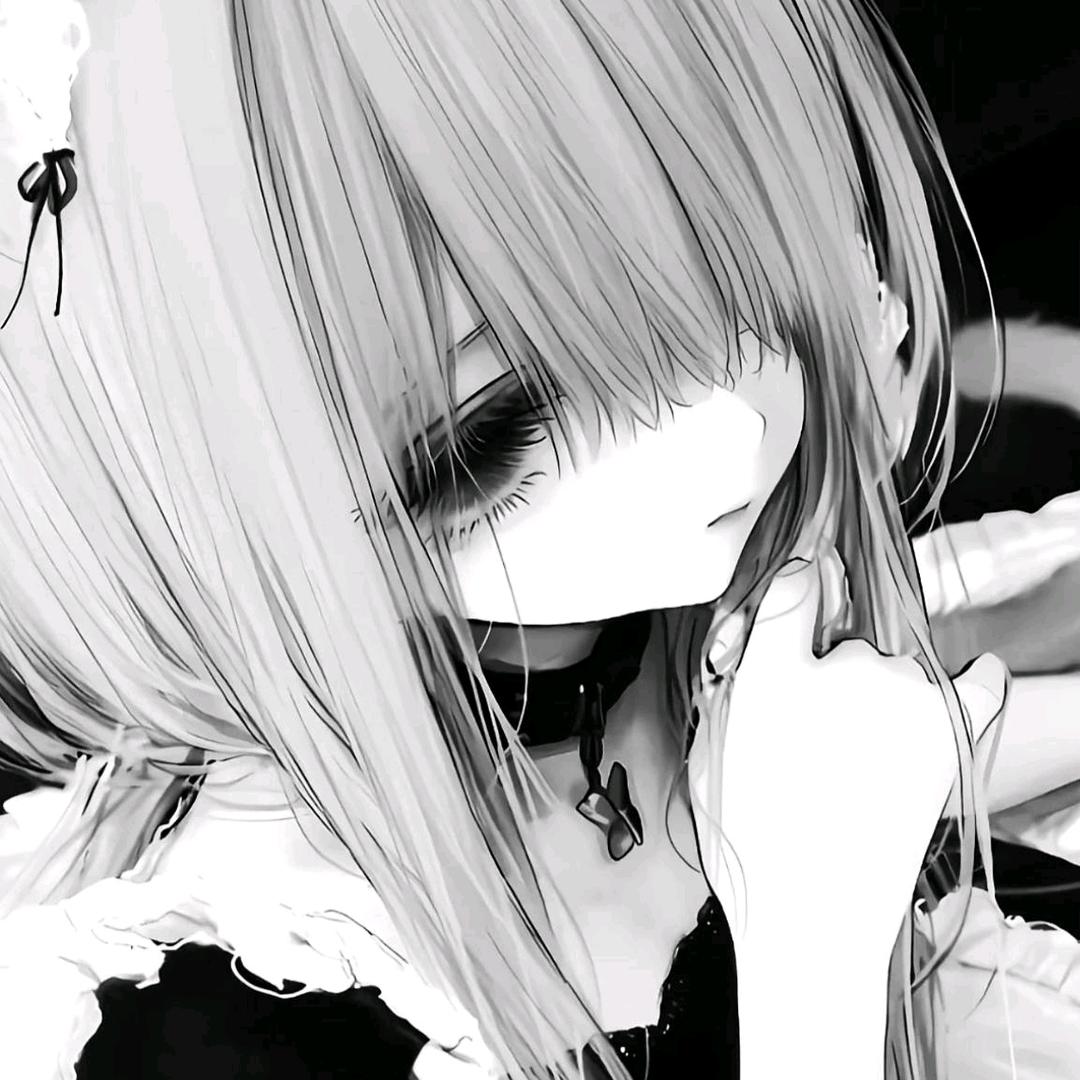 QvQ