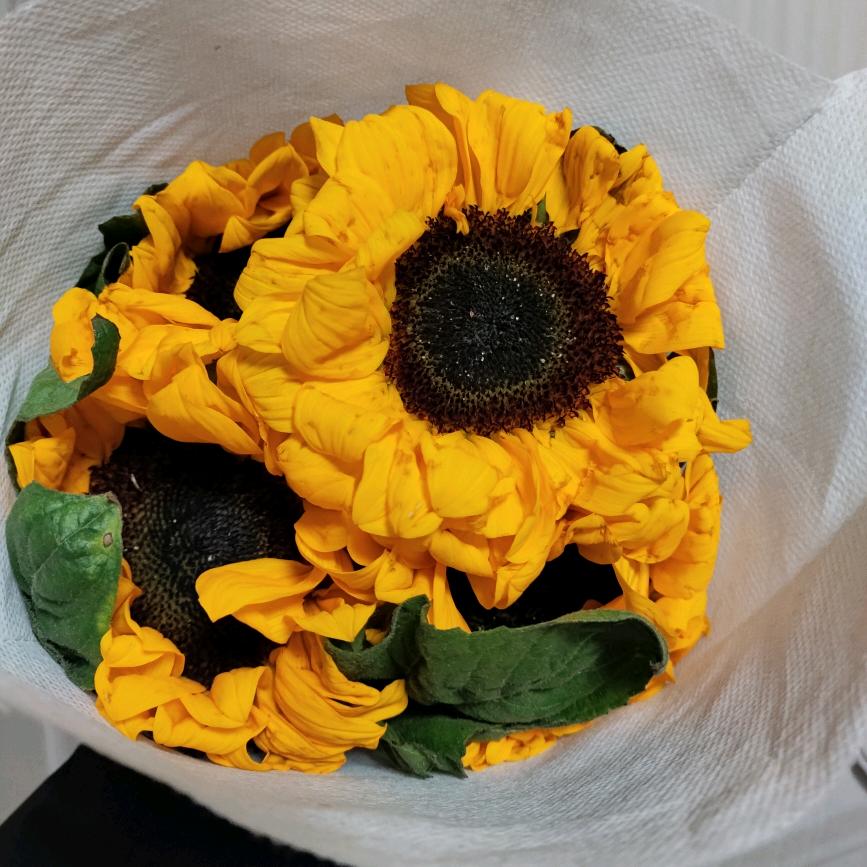 可以没有名字吗