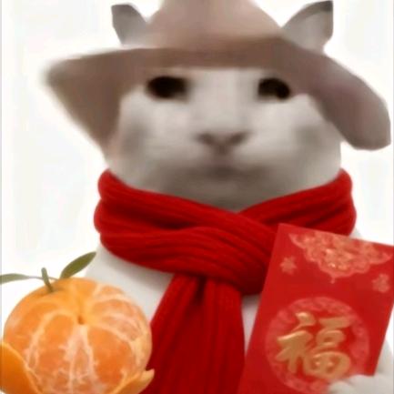 莫甘熊                ╲