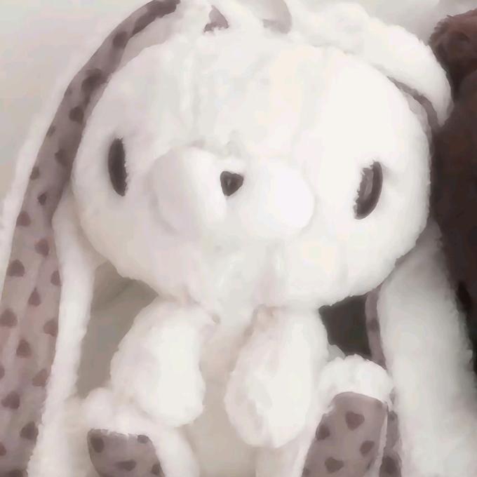 以后不会熬夜
