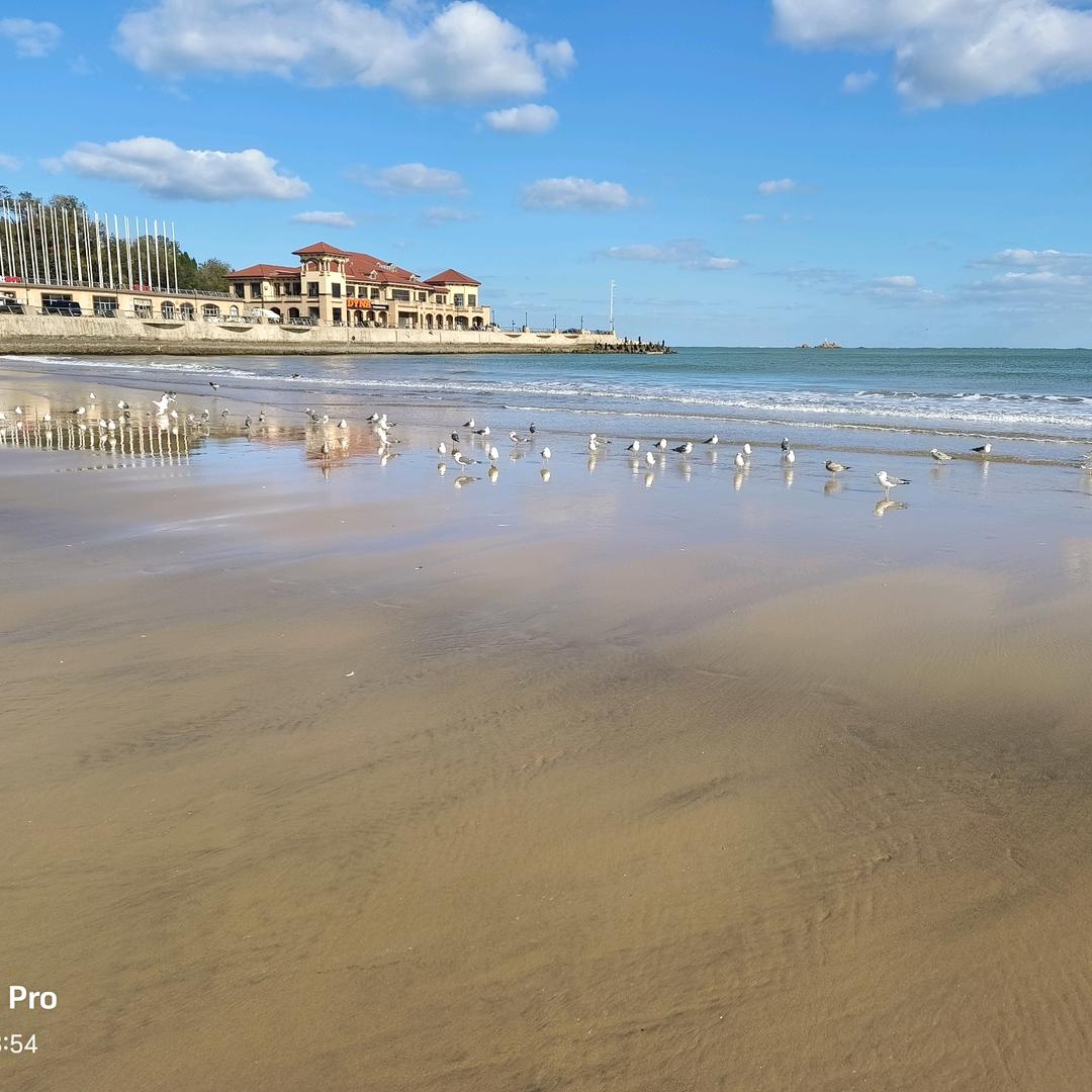 千家雪糕批发（中央龙湾店）