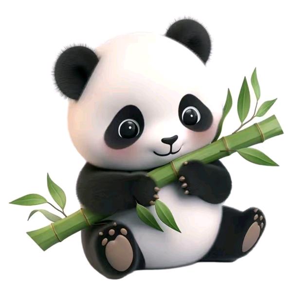 小熊仔