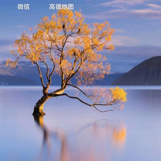 成都市得劳斯民宿集装箱