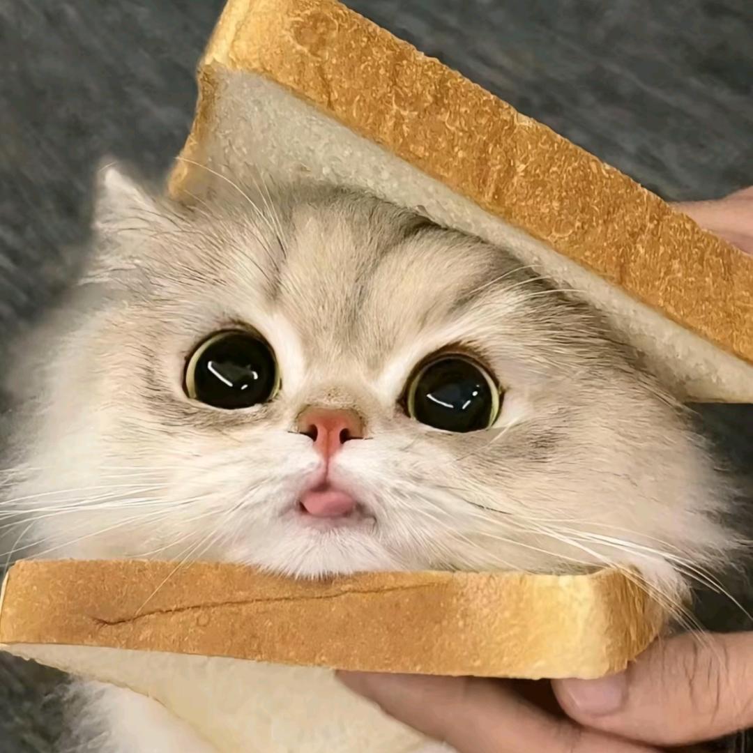 ℳ๓玉丶米ꦿ࿐