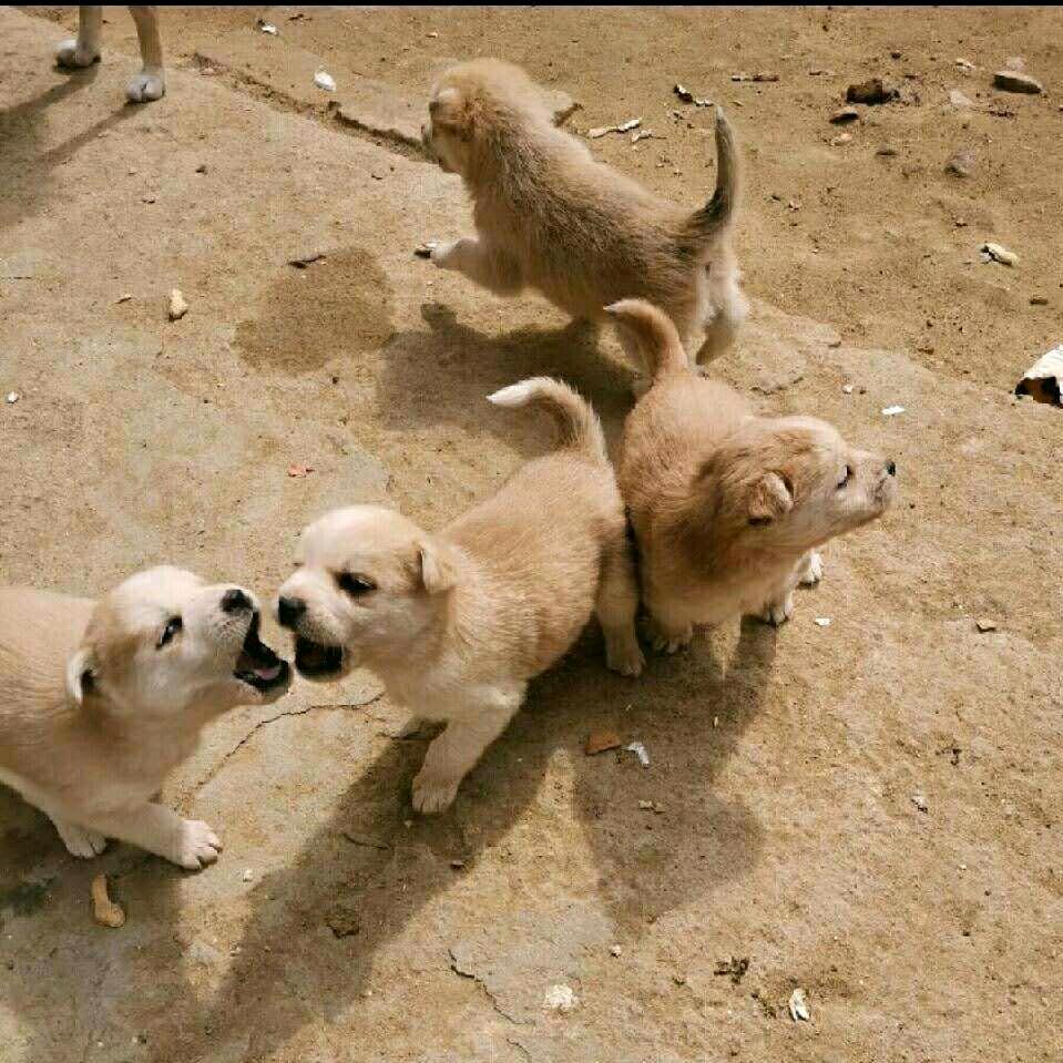 ꧁心静自然凉꧂