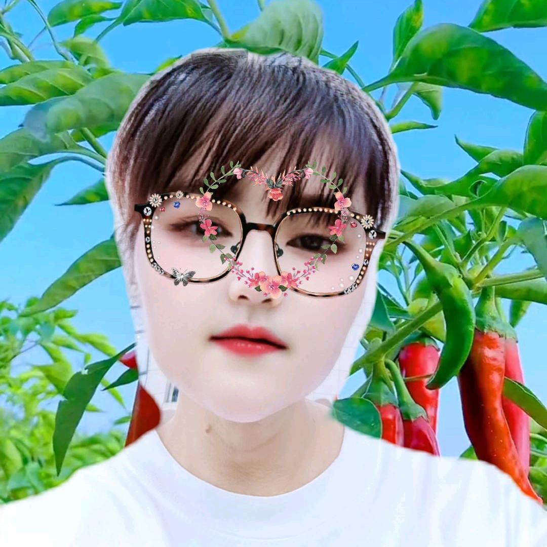 手机用户61472005246