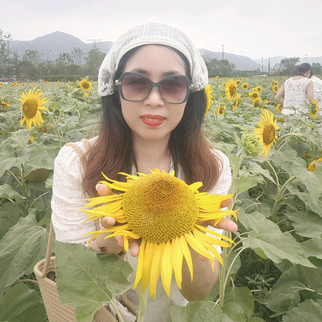 青青爱旅行