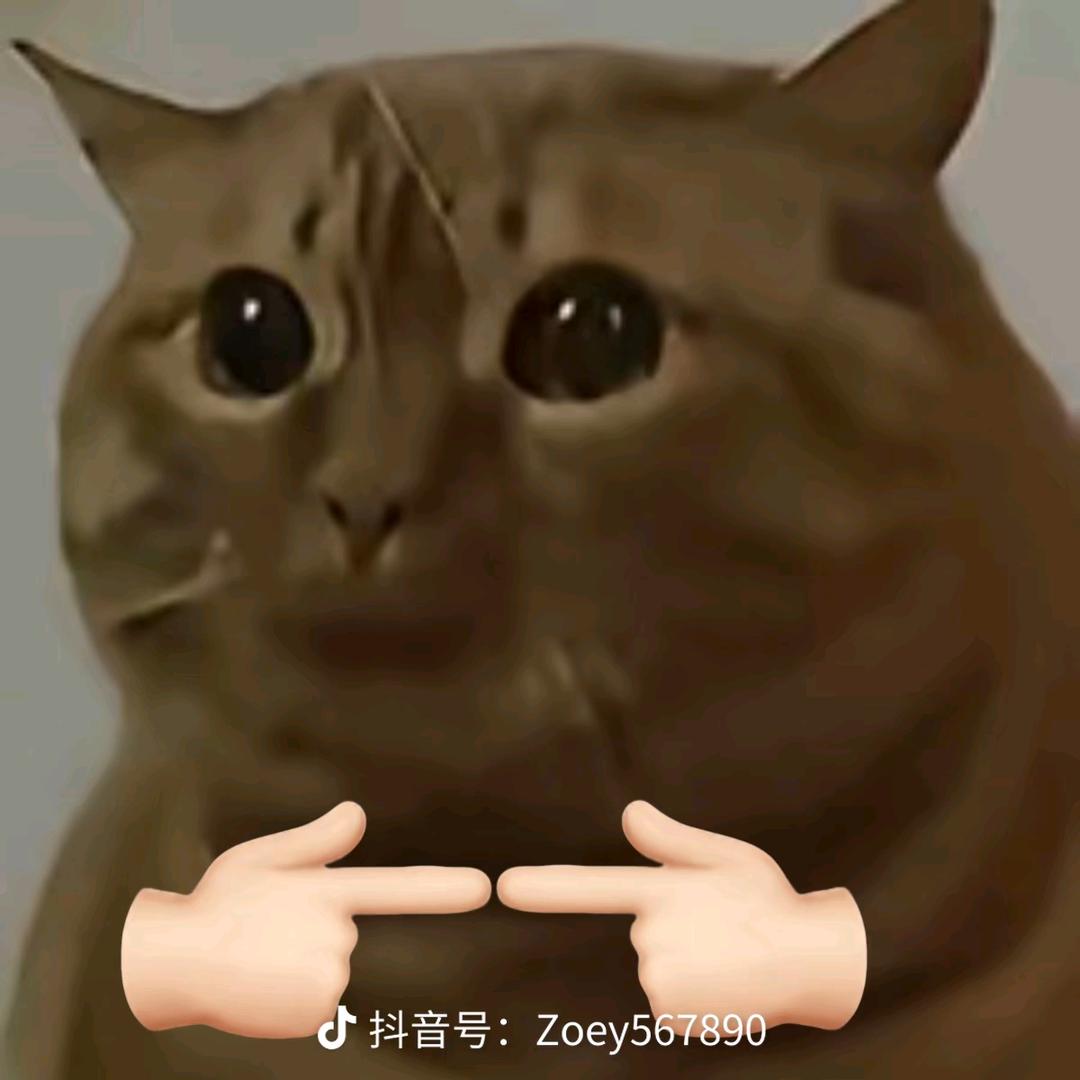 委屈猫
