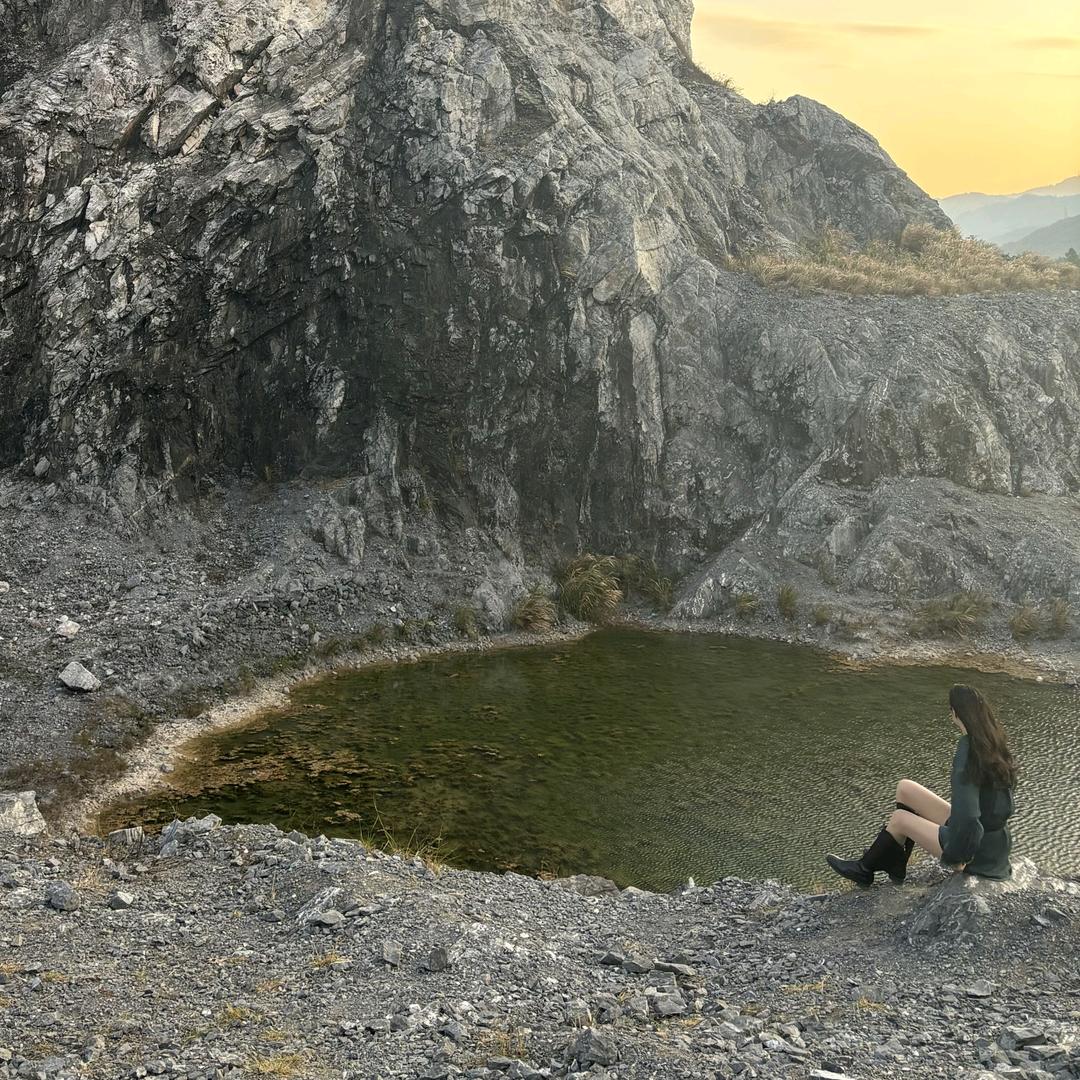 不吃香菜(滴滴版)