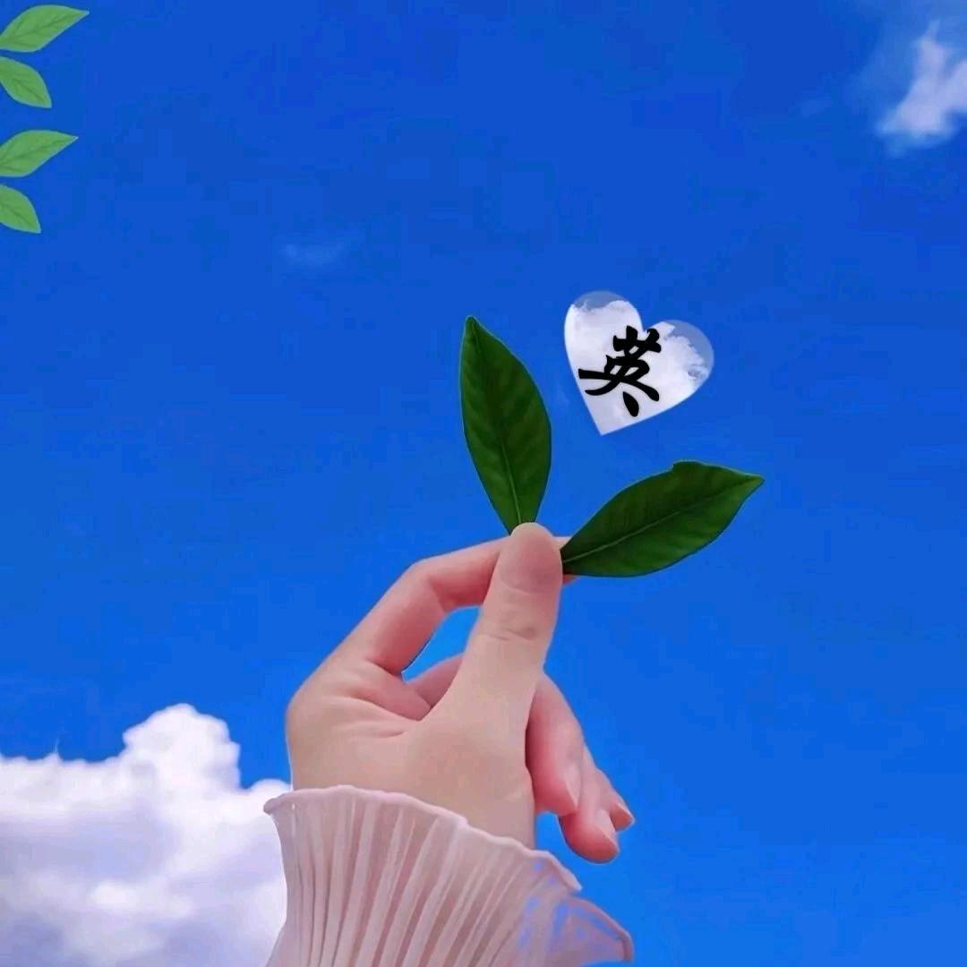 🥀🐭心有所鼠，只鼠于我🐭🥀