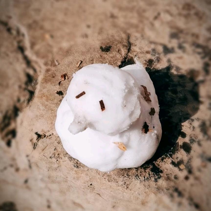 神奇海螺否？¹¹¹⁸