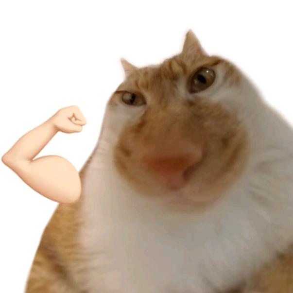 安在哉