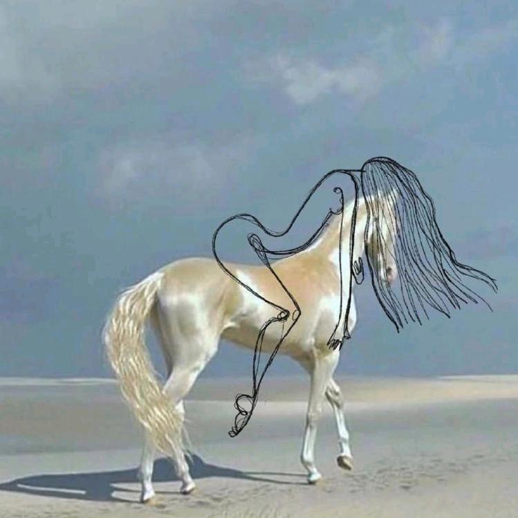 🌈不是哥们🌈