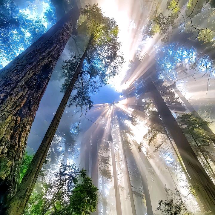 ღ好运加满⁺¹⁰⁰