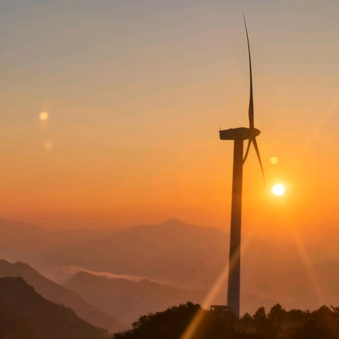 我的座骑是只兔