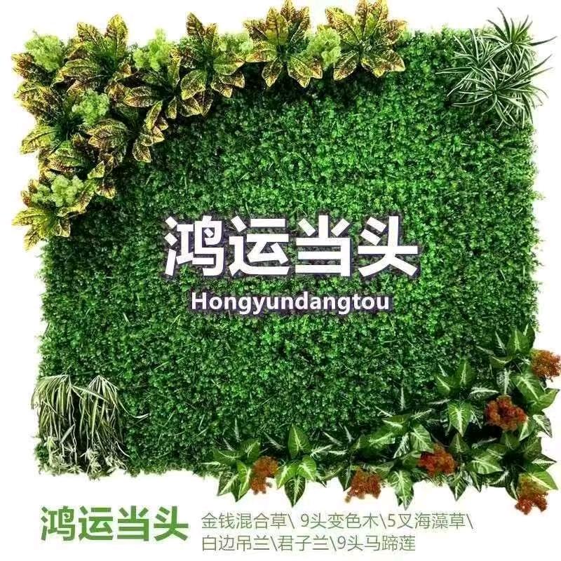 插草坪手工活，《架》高