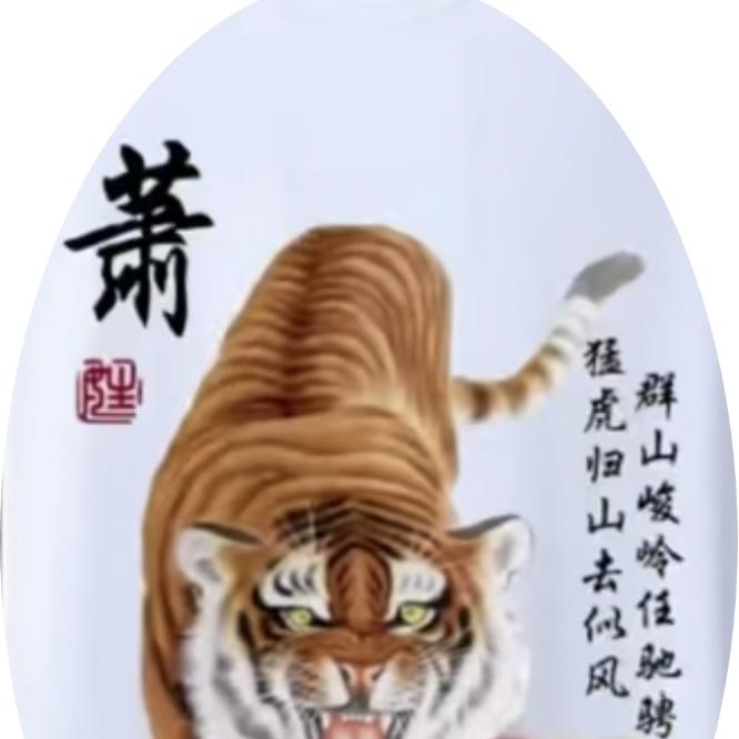 九天揽月