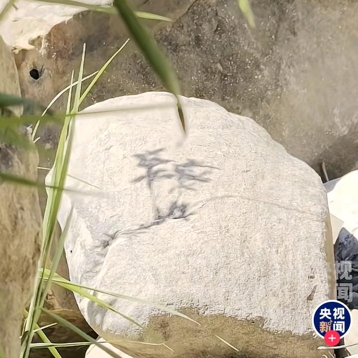 长天📸